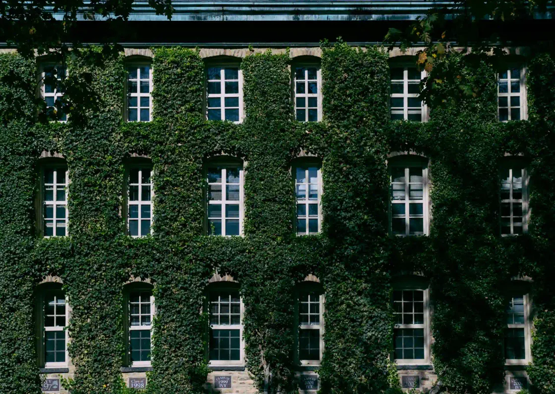 Facade of Nassau Hall at Princeton University, fully covered in dense green ivy with a grid of white-paned windows, a visual cue for Ivy League pedigree.