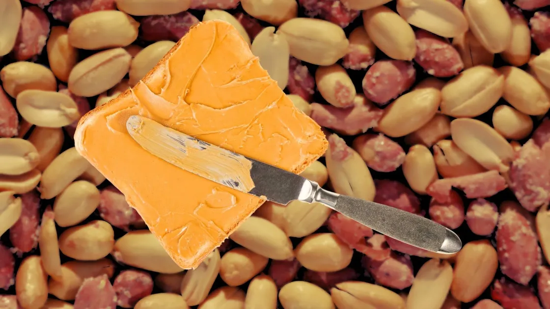 Slice of toast spread with peanut butter, with a butter knife resting on top, set against a background of peanuts.