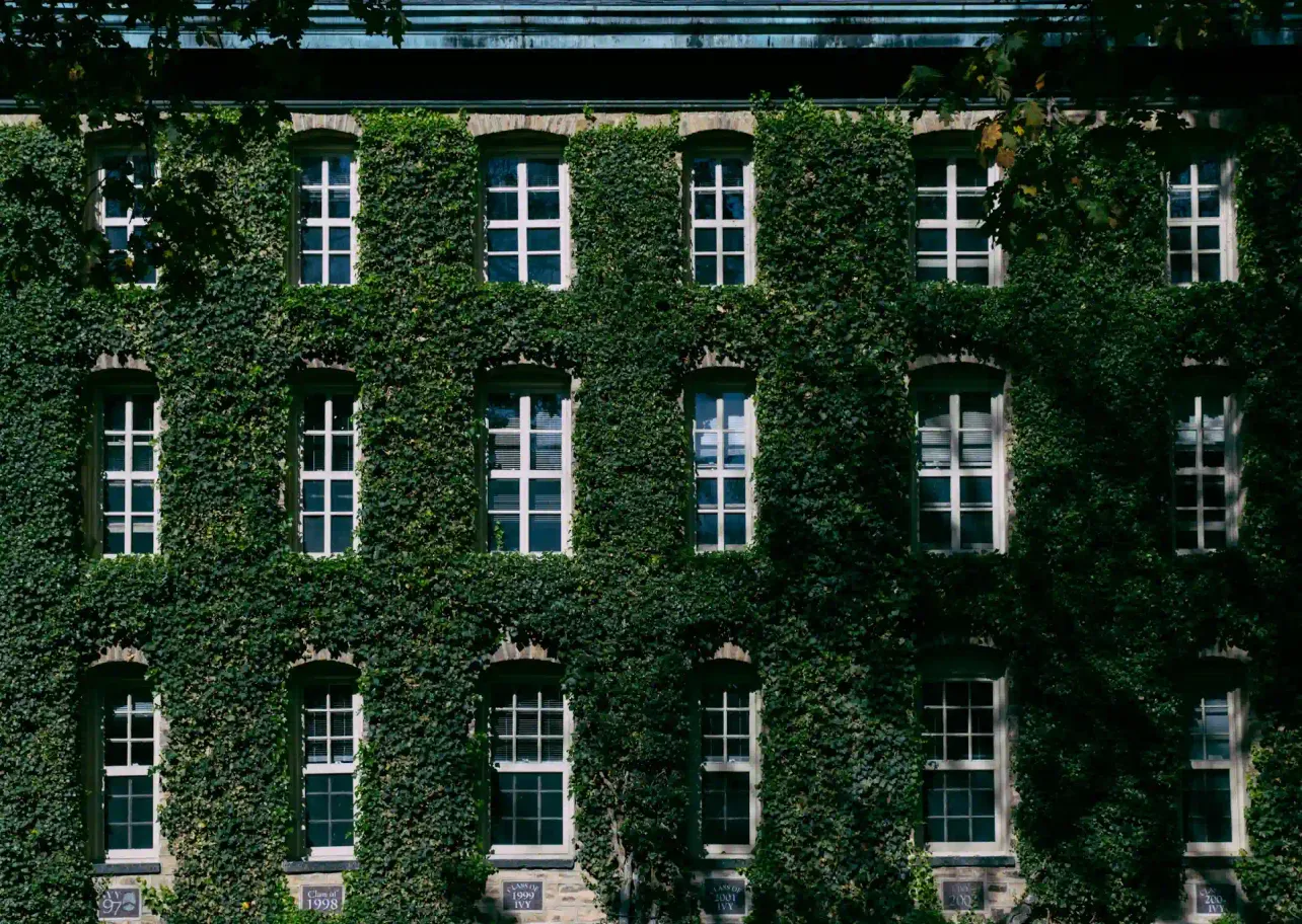Facade of Nassau Hall at Princeton University, fully covered in dense green ivy with a grid of white-paned windows, a visual cue for Ivy League pedigree.
